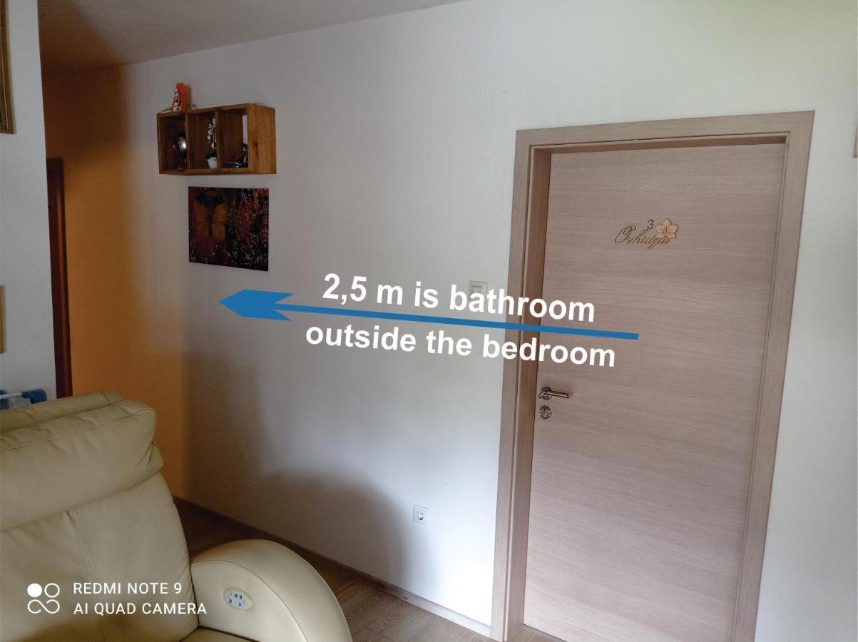 Apartments Lake Bohinj Medja Dış mekan fotoğraf